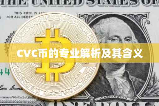 CVC币的专业解析及其含义