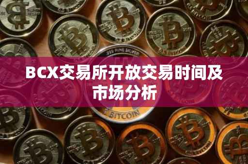 BCX交易所开放交易时间及市场分析