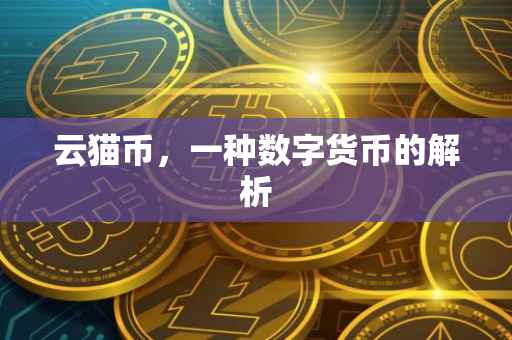 云猫币，一种数字货币的解析