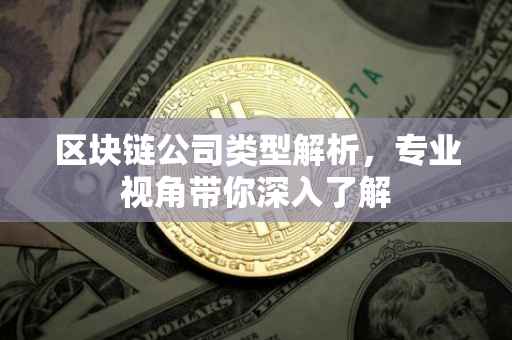 区块链公司类型解析，专业视角带你深入了解