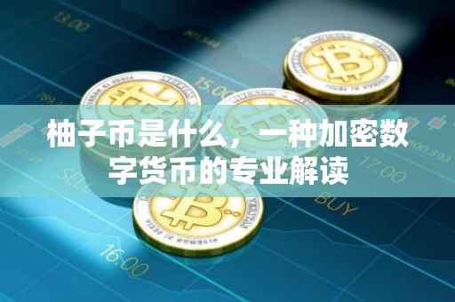 柚子币是什么，一种加密数字货币的专业解读