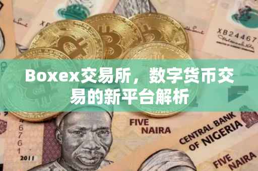 Boxex交易所,数字货币交易的新平台解析