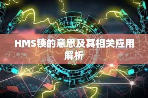 HMS锁的意思及其相关应用解析