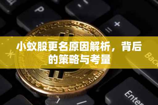 小蚁股更名原因解析,背后的策略与考量
