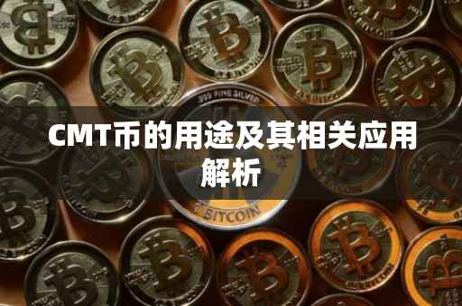 CMT币的用途及其相关应用解析