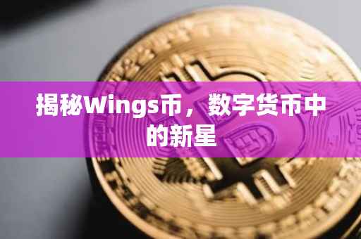 揭秘Wings币,数字货币中的新星