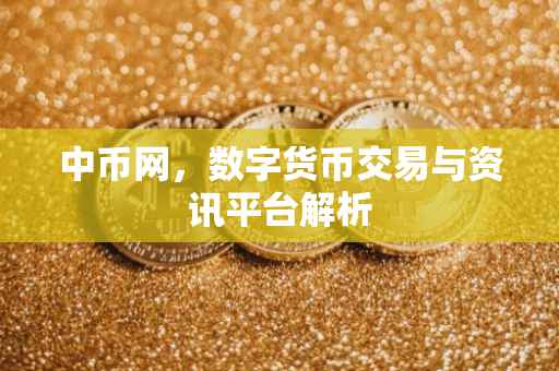 中币网，数字货币交易与资讯平台解析
