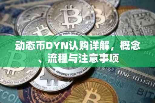 动态币DYN认购详解,概念、流程与注意事项