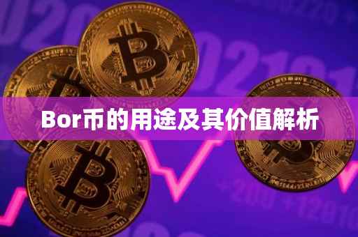 Bor币的用途及其价值解析