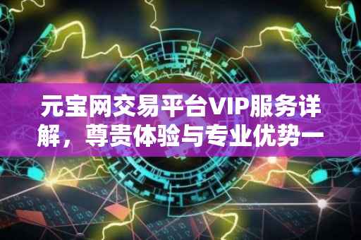 元宝网交易平台VIP服务详解，尊贵体验与专业优势一览