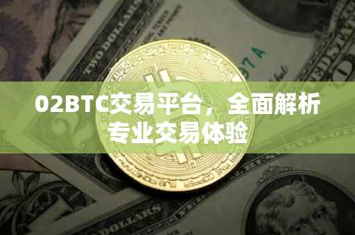 02BTC交易平台，全面解析专业交易体验