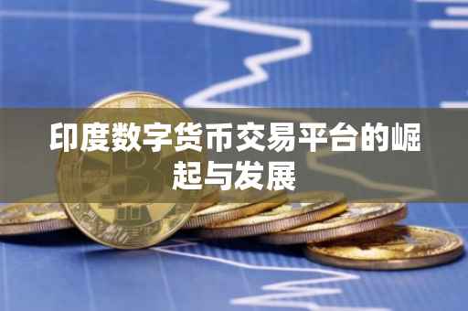 印度数字货币交易平台的崛起与发展