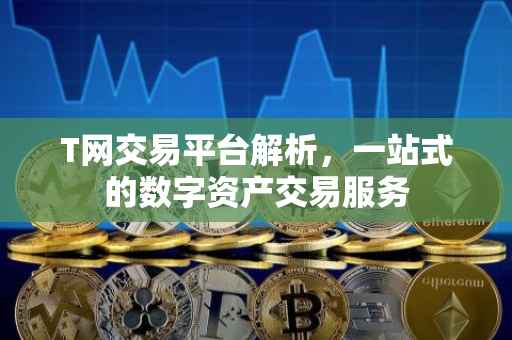 T网交易平台解析，一站式的数字资产交易服务