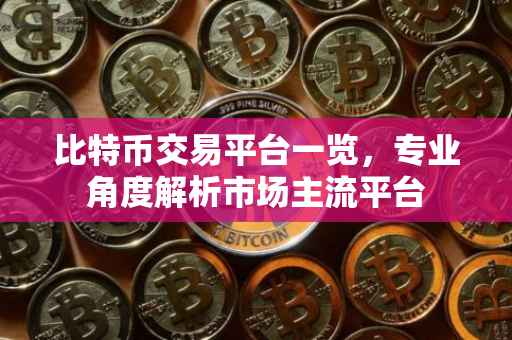 比特币交易平台一览，专业角度解析市场主流平台