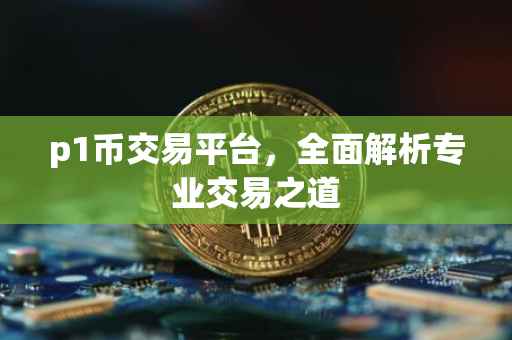 p1币交易平台,全面解析专业交易之道
