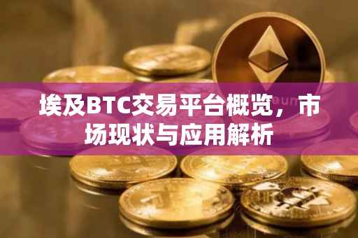 埃及BTC交易平台概览，市场现状与应用解析