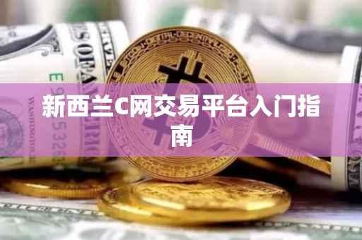 新西兰C网交易平台入门指南