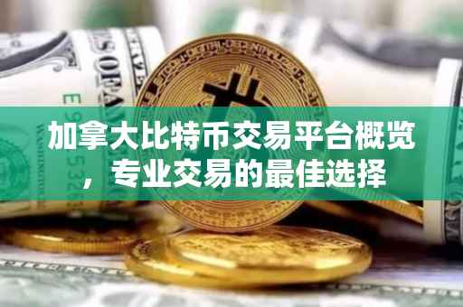 加拿大比特币交易平台概览，专业交易的最佳选择