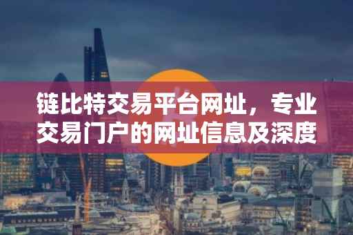 链比特交易平台网址,专业交易门户的网址信息及深度解析
