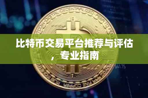 比特币交易平台推荐与评估，专业指南