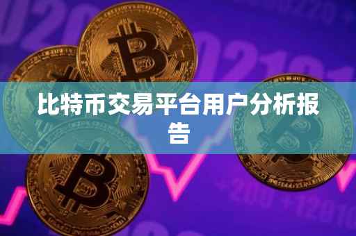 比特币交易平台用户分析报告