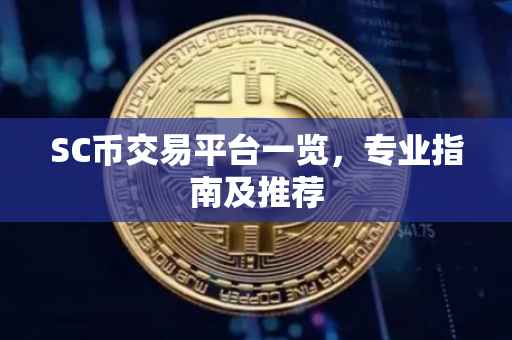 SC币交易平台一览，专业指南及推荐
