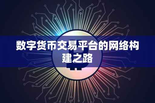 数字货币交易平台的网络构建之路