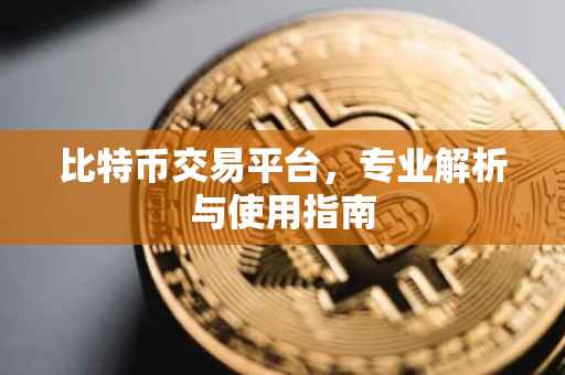 比特币交易平台，专业解析与使用指南