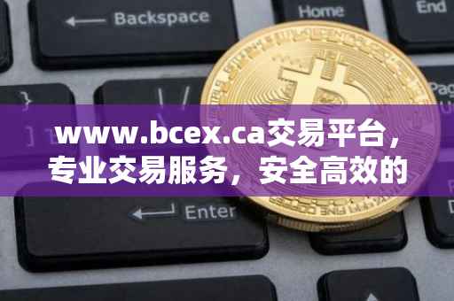 www.bcex.ca交易平台，专业交易服务，安全高效的数字资产交易体验
