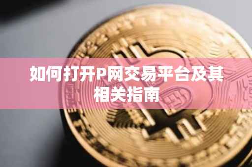 如何打开P网交易平台及其相关指南