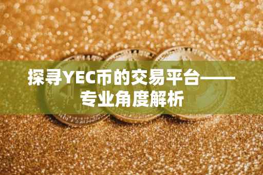 探寻YEC币的交易平台——专业角度解析