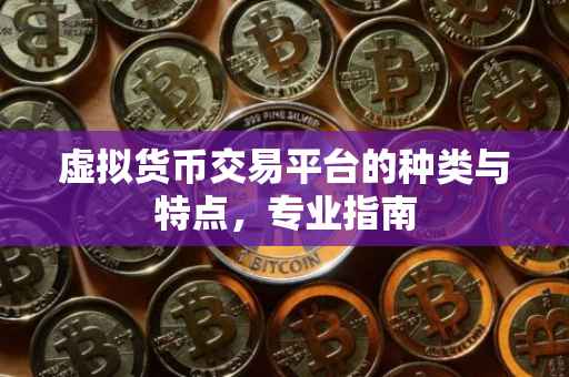 虚拟货币交易平台的种类与特点,专业指南