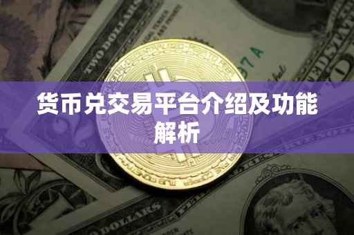 货币兑交易平台介绍及功能解析