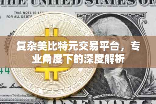 复杂美比特元交易平台，专业角度下的深度解析