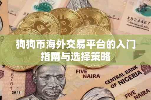 狗狗币海外交易平台的入门指南与选择策略