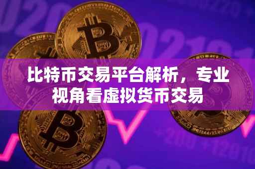 比特币交易平台解析，专业视角看虚拟货币交易