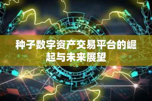 种子数字资产交易平台的崛起与未来展望