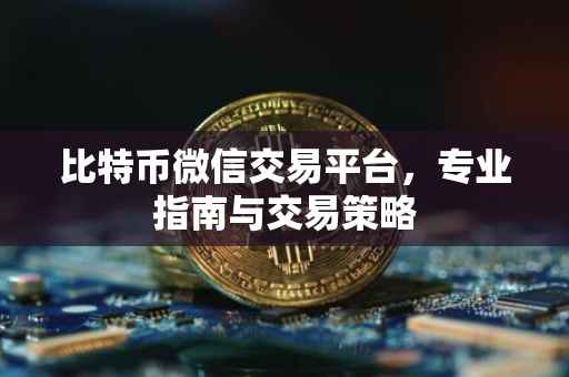 比特币微信交易平台，专业指南与交易策略