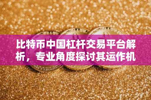 比特币中国杠杆交易平台解析，专业角度探讨其运作机制与风险