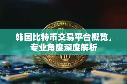 韩国比特币交易平台概览，专业角度深度解析