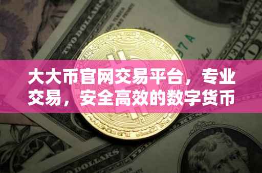 大大币官网交易平台，专业交易，安全高效的数字货币交易体验