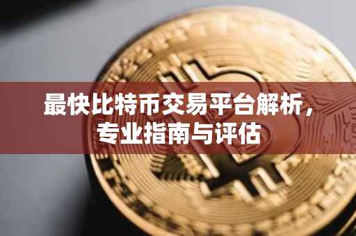 最快比特币交易平台解析，专业指南与评估