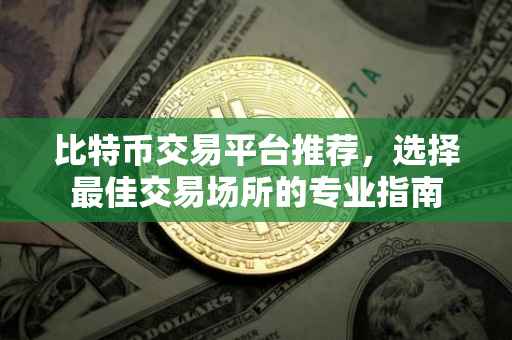 比特币交易平台推荐，选择最佳交易场所的专业指南
