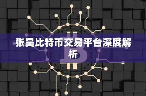 张昊比特币交易平台深度解析