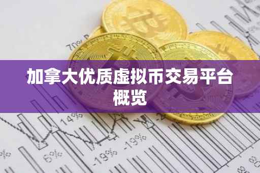 加拿大优质虚拟币交易平台概览