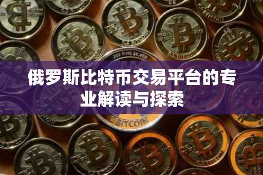 俄罗斯比特币交易平台的专业解读与探索