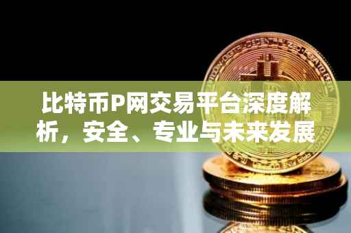 比特币P网交易平台深度解析，安全、专业与未来发展
