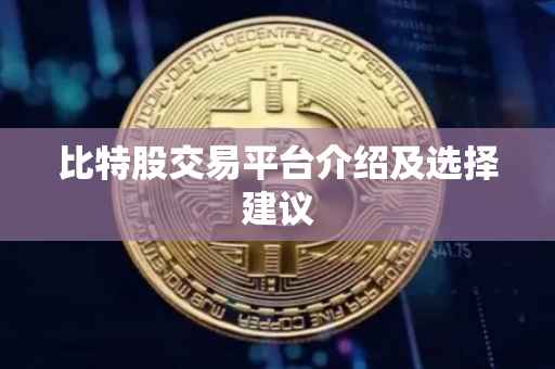 比特股交易平台介绍及选择建议