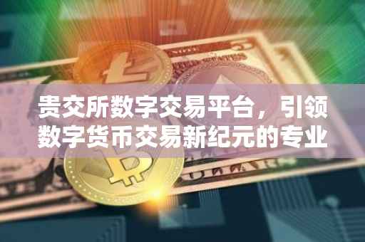 贵交所数字交易平台，引领数字货币交易新纪元的专业之选