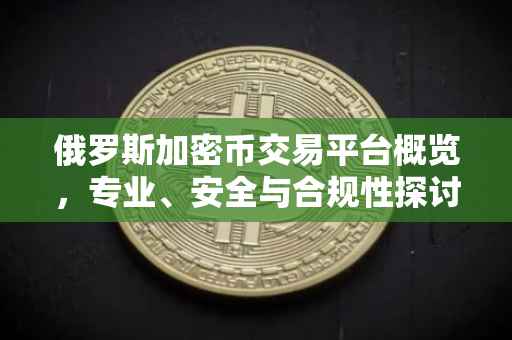 俄罗斯加密币交易平台概览，专业、安全与合规性探讨